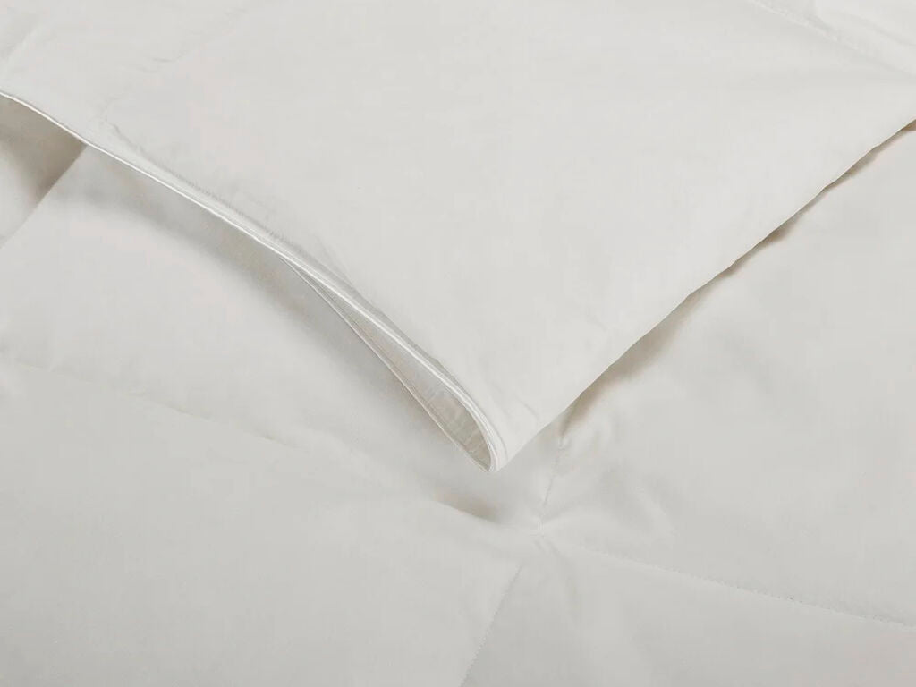 Edredão nórdico leve de penas de ganso 250gr de outono/inverno (4)